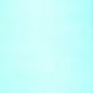 Meet your Posher, Celine